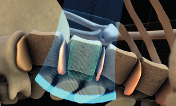 Know Your Bones. <strong>Train With Confidence.</strong>